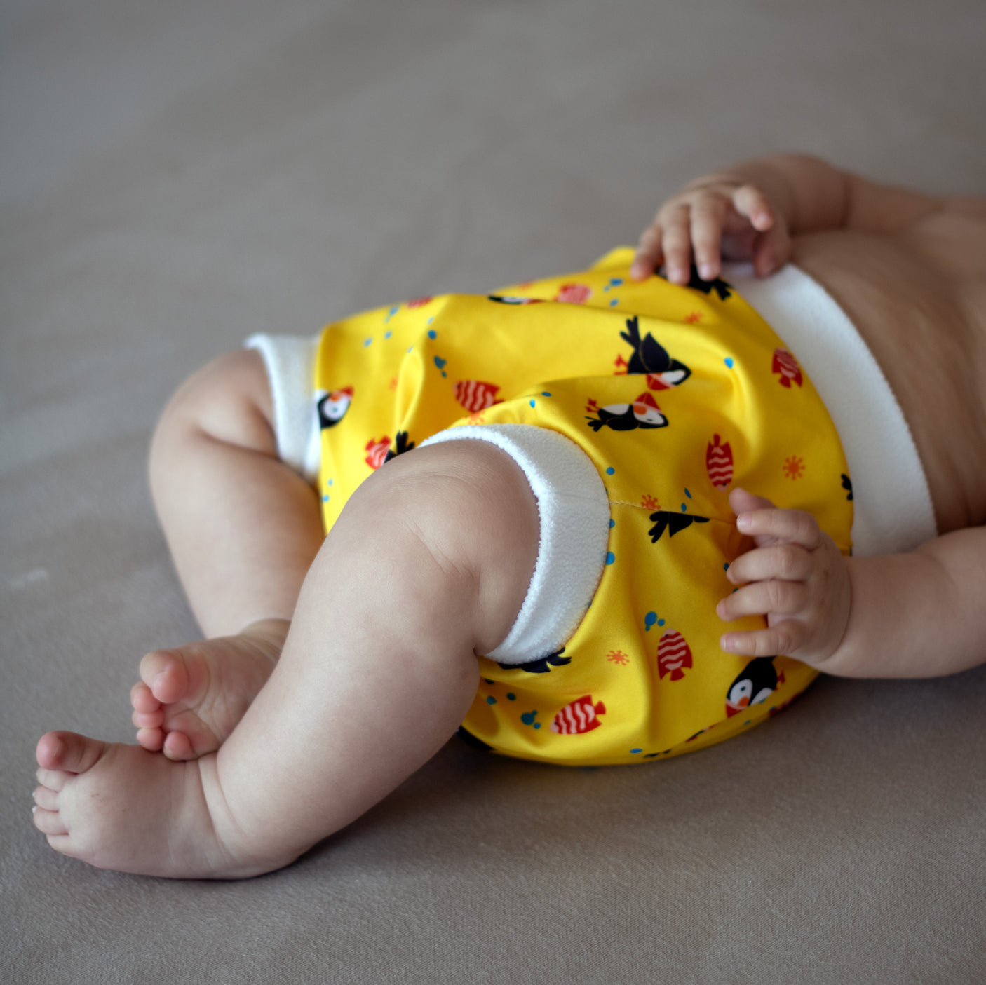 Little Clouds - Überhose V2 (Schlupfhose) - Möwen