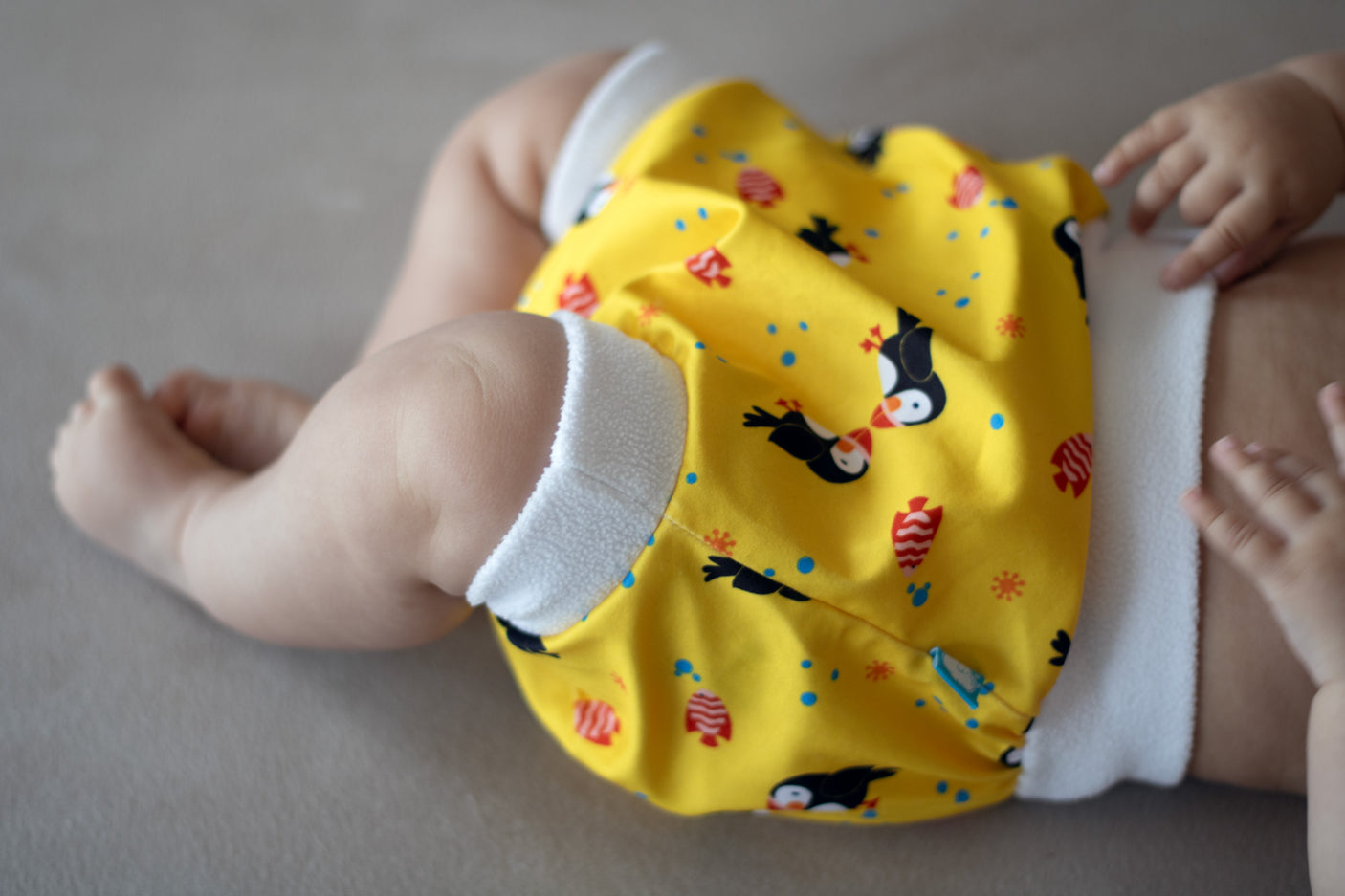 Little Clouds - Überhose V2 (Schlupfhose) - Möwen