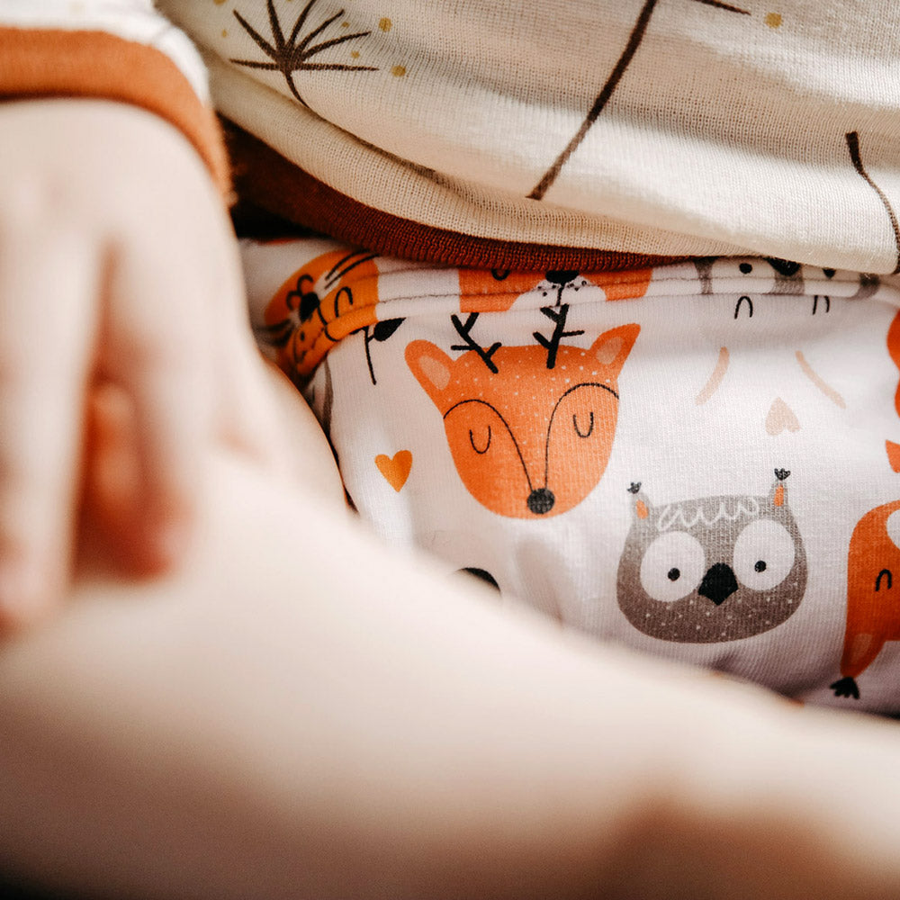 Culla di Teby (AI3) - Bio-Baumwolle Hybridwindel - (EINZELN) - Lovely Faces