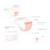 Bambino Mio - MioSolo (All-in-One) One Size Windel - Honeybee Hive