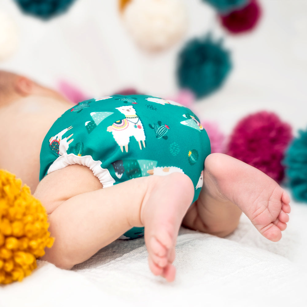 Doodush - V2.0 Überhose mit Laschen - Turquoise Llamas (Türkise Lamas)