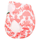 TotsBots - EasyFit V5 (STAR) - Foxtrot