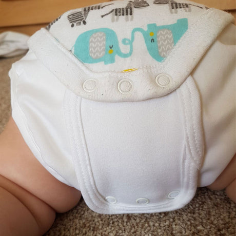 Little Lamb - Bodyerweiterung (Bodyverlängerung) - Weiß (3 Stück)