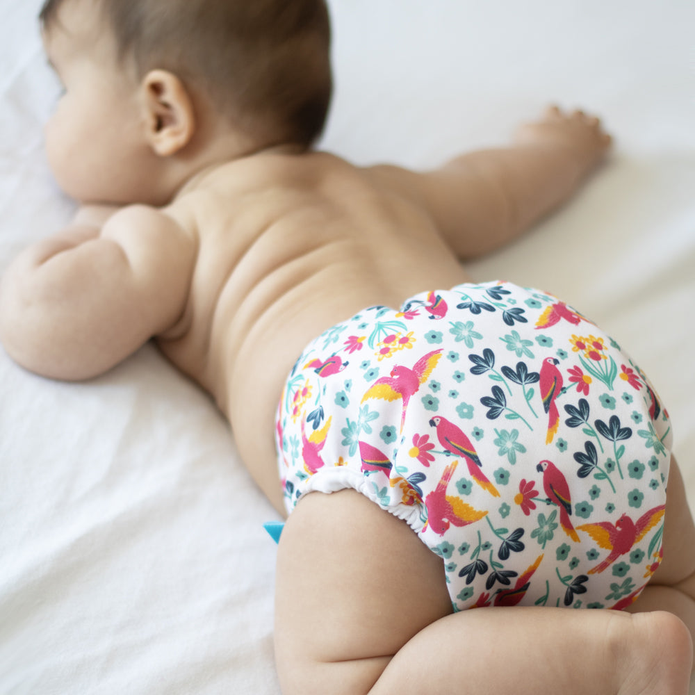 Little Clouds - Überhose (Prefold) - Seals (Robben)